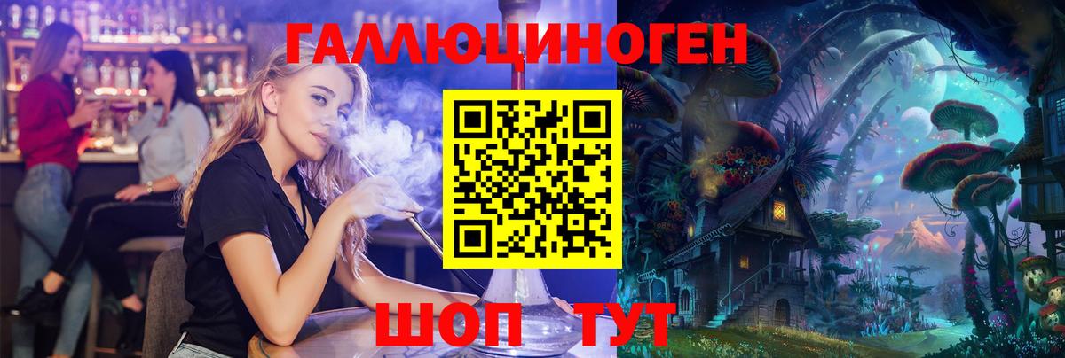 Псилоцибиновые грибы Psilocybine cubensis  Вход с VPN  Междуреченск 